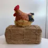 Botte de paille 35x18x18 cm agri-33 – Image 3
