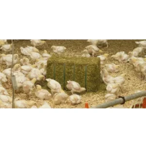 Luzerne compacte BIO, palette 48 x 20 kg agri-33 – Image 3