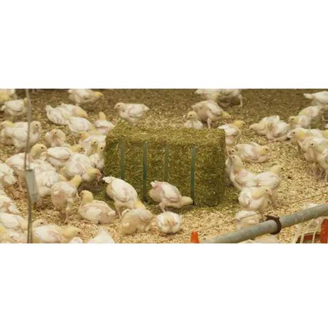 Luzerne compacte BIO, palette 48 x 20 kg agri-33